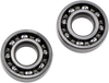Hot Rods Counter Balancer Bearing Kit - Polaris Hr00011