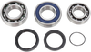 All Balls Chain Case Bearing And Seal Kit 14-1051