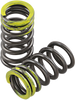 Xceldyne Valve Springs - Intake - Kawasaki | Suzuki Psimx2104