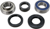 All Balls Chain Case Bearing And Seal Kit 14-1055