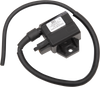 Rick'S Motorsport Electric Ignition Coil - Suzuki 23-303
