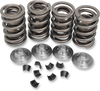Kibblewhite Valve Springs - Xl 20-2215
