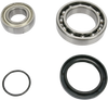 All Balls Chain Case Bearing And Seal Kit 14-1041