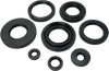 Moose Racing Motor Seals 822247Mse