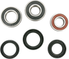 Pivot Works Wheel Bearing Kit - Rear Pwrwk-G01-001