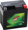 Power Max Battery - Ytx5L-Bs Gt5L-Bs