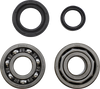 Vintco Main Bearing And Seal Kit - Maico Kmb026
