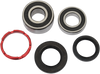 Pivot Works Wheel Bearing Kit - Rear - Honda Pwrwk-H06-520