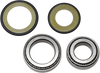 Steering Stem Bearing - Kawasaki 22-1038