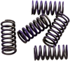 Hinson Racing Clutch Spring Kit Cs341-5-0311