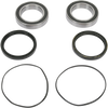 Pivot Works Wheel Bearing Kit - Rear Pwrwk-H10-420