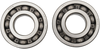 Hot Rods Crankshaft Bearings - Yamaha K239