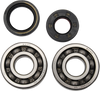 Hot Rods Crankshaft Bearings - Yamaha K010