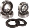 Pivot Works Wheel Bearing Kit - Rear Pwrws-K28-000