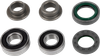 Skf Rear Wheel Seals, Spacers And Bearings Kit Vkwb-R-15-Hd-A