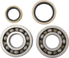 Hot Rods Crankshaft Bearings - Suzuki K229