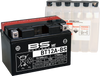 Bs Battery Battery - Bt12A-Bs (Yt) 300602