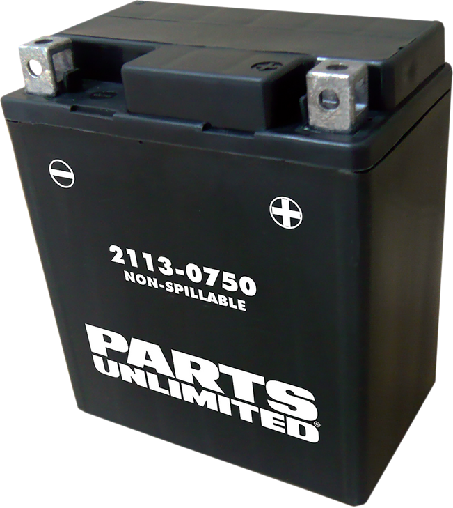 Parts Unlimited Agm Battery - Ytx7L