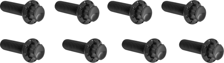 Arlen Ness Hardware Kit Titanuim 12Pt Lifter Block Black 300-936