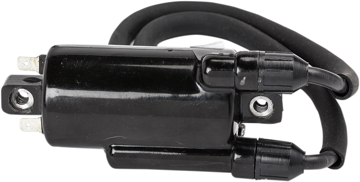 Rick'S Motorsport Electric Ignition Coil - Honda 23-108