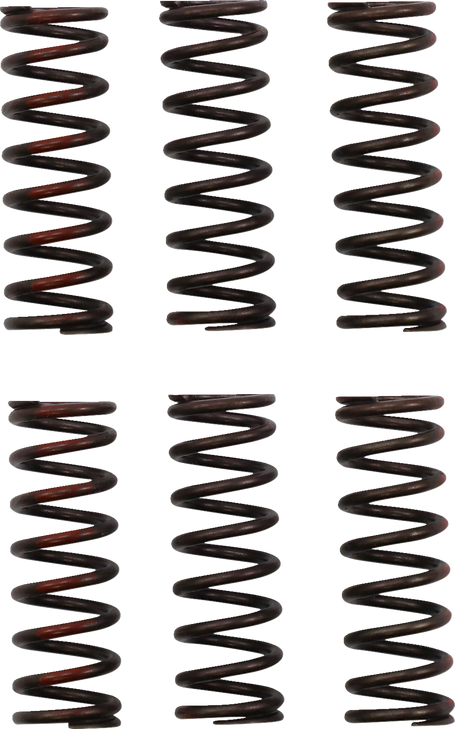 Pro Circuit Clutch Springs - Crf 450R Csh21450-Cs