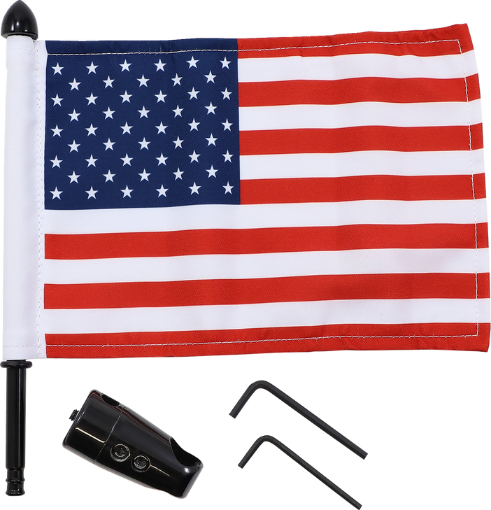 Pro Pad Flag Mount - Passenger Sissy Bar - 9" Pole - 6" X 9" Flag Brfm-Rdsb765In