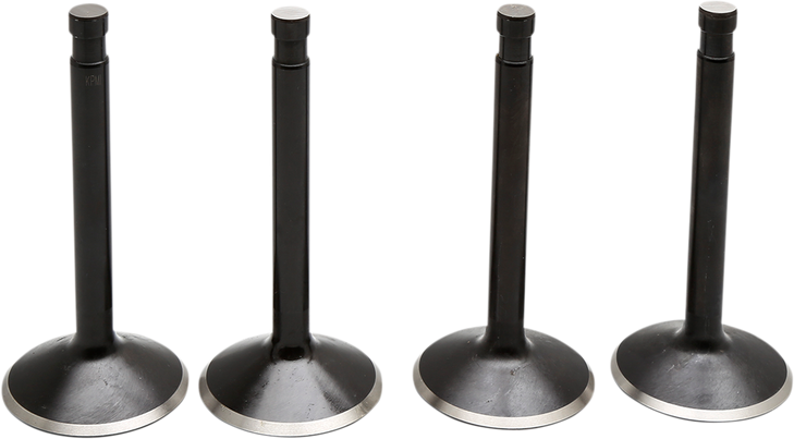 Kibblewhite Valve Kit - Panhead 20-22100