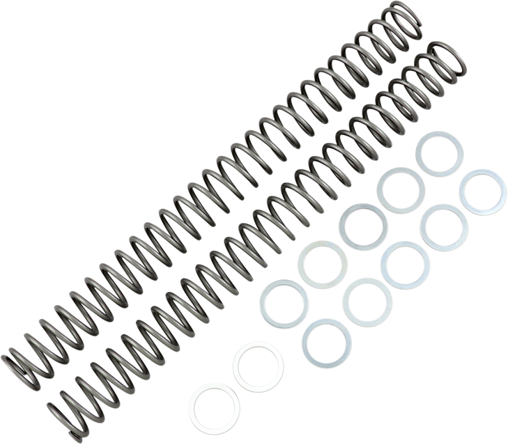 Race Tech Fork Springs - 0.46 Kg/Mm Frsp 434646