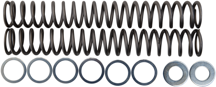 Race Tech Fork Springs - 1.10 Kg/Mm Frsp S4430110