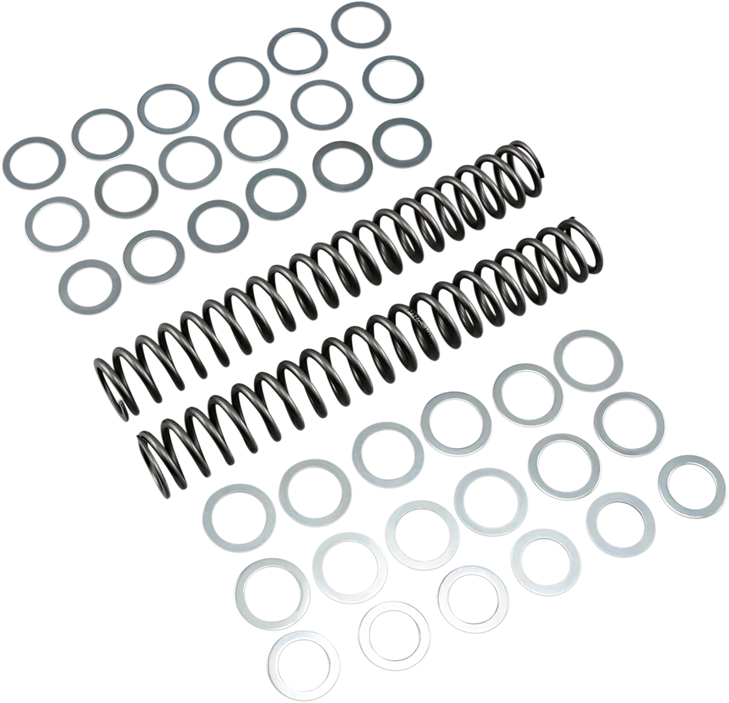 Race Tech Fork Springs - 1.00 Kg/Mm Frsp S3827100