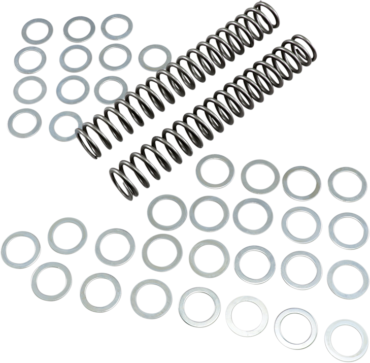 Race Tech Fork Springs - 1.00 Kg/Mm Frsp S3825100
