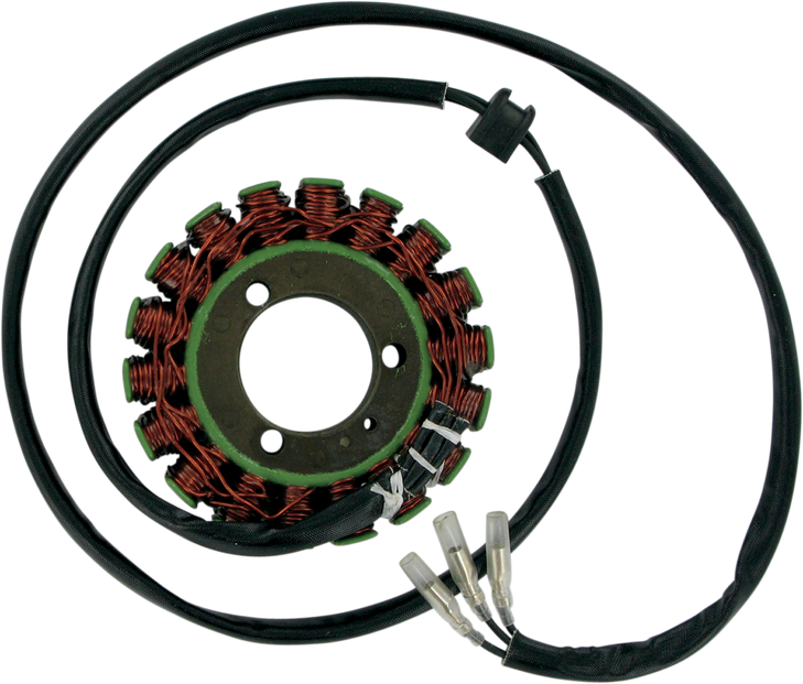 Rick'S Motorsport Electric Stator - Suzuki 21-303