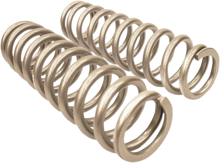 High Lifter Shock Springs - Rear - Silver 79-13785