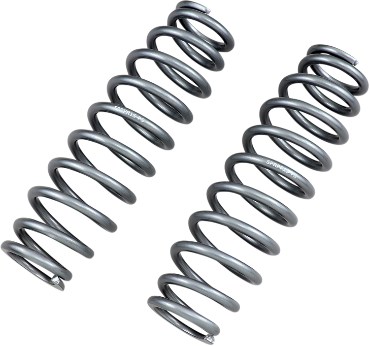 High Lifter Shock Springs - Rear - Silver 79-13830