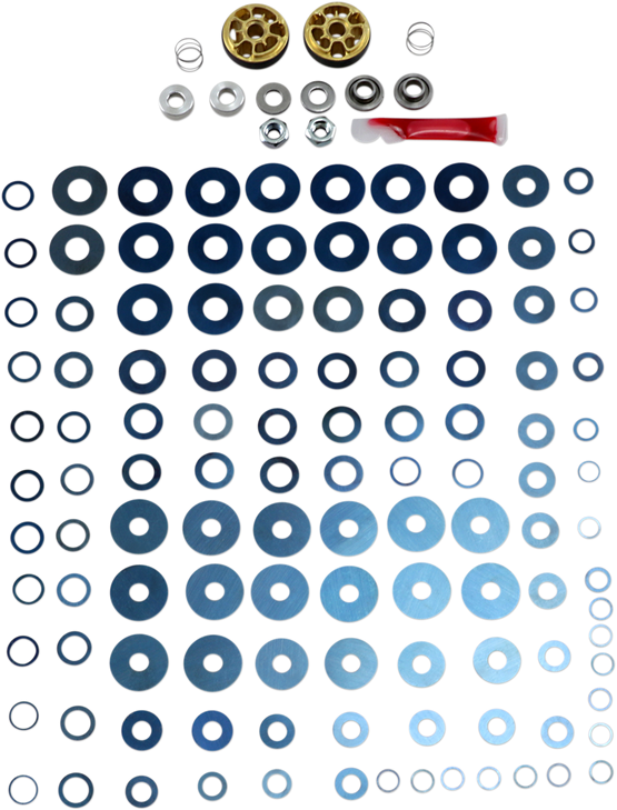 Race Tech Rebound Gold Valve Fork Kit - 24X6 Frgv 2401