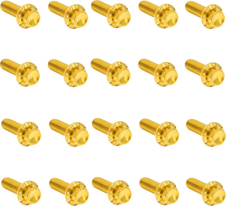Arlen Ness Hardware Kit Titanuim 12Pt Rocker Box Gold 300-946