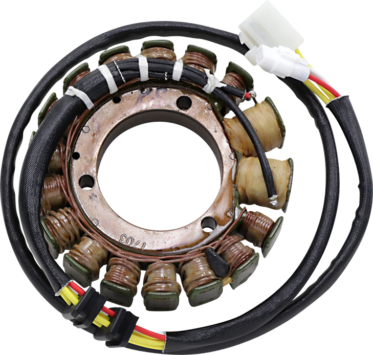 Rick'S Motorsport Electric Stator - Kawasaki 21-727
