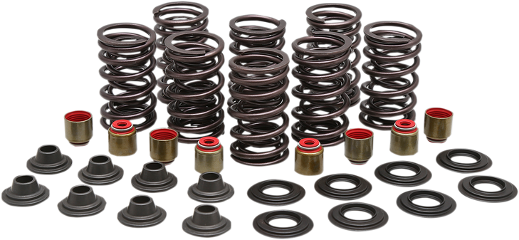 Kibblewhite Valve Spring Kit 82-83450