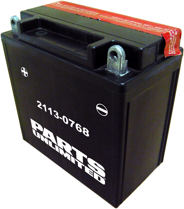 Parts Unlimited Agm Battery - Ytx9Abs