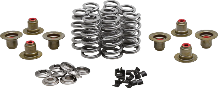 Beehive Spring Kit - 0.640" Lift - Titanium - M8 | Cvo 20-24350