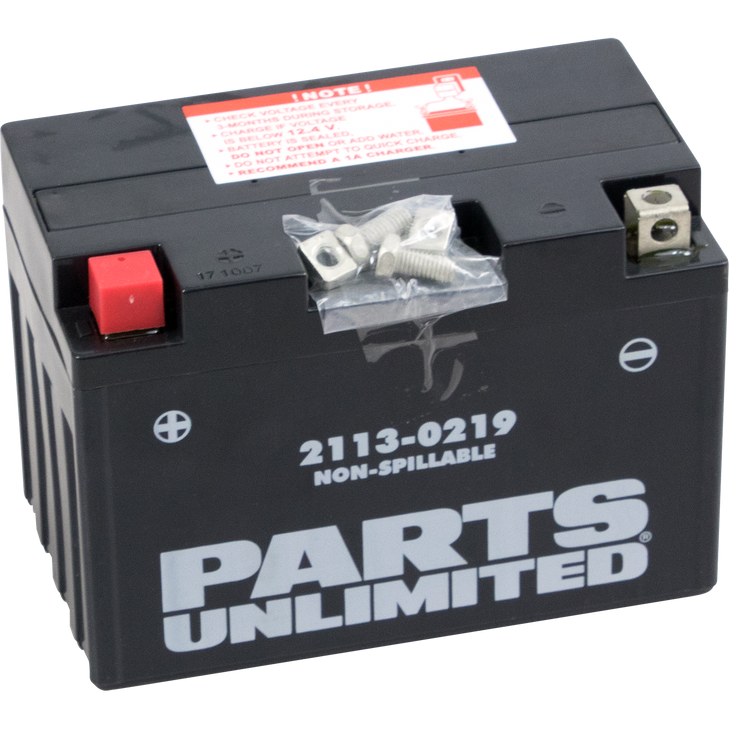 Parts Unlimited Agm Battery - Yt12A-Bs