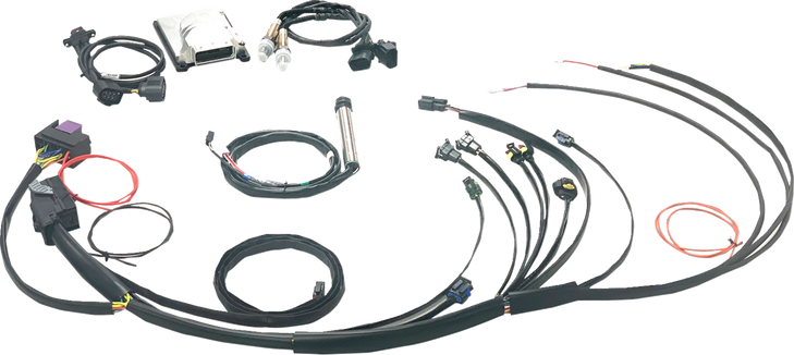 Namz Complete Stand Alone Efi Engine Management System - Twin Cam N-Efi-01