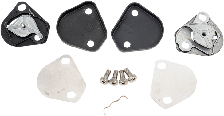 Agv Pista Gp Rr/Corsa R/Veloce S Pivot Kit - With Screws 20Kit60016999