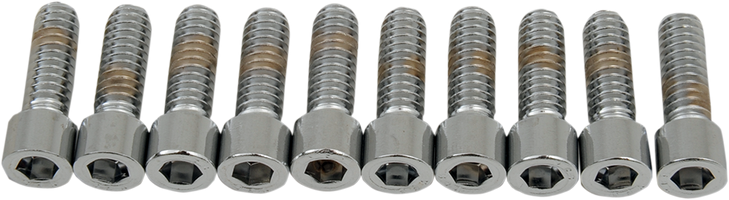Drag Specialties Bolts - Socket-Head - Smooth - 1/4-20 X 3/4"