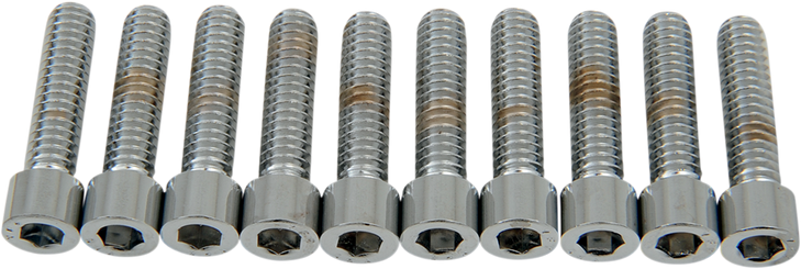 Drag Specialties Bolts - Socket-Head - Smooth - 1/4-20 X 1"