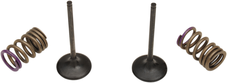 Prox Valve And Spring Kit - Intake - Kawasaki 28.Sis4338-2