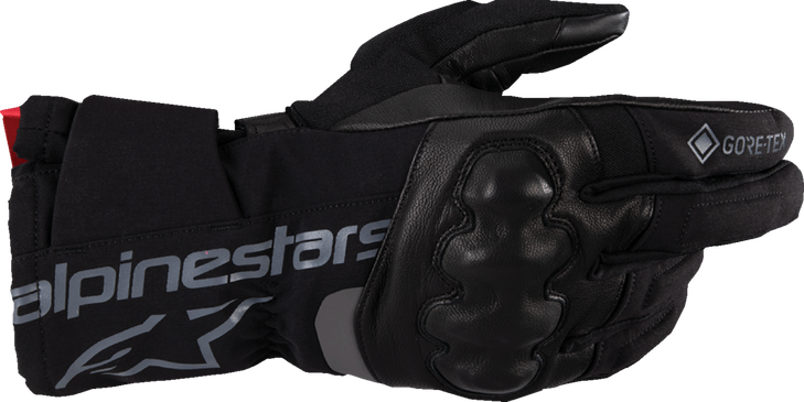 Wt-4 Gore-Tex Gloves - Black - Large 3520425-10-L