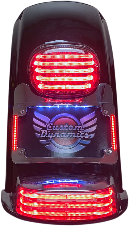 Custom Dynamics Turn Signal Eliminator/Illuminated Tri-Frame - Chrome Ts-Elim-06Hw-C