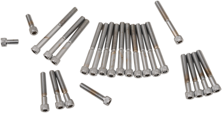 Drag Specialties Cover Bolts - Socket-Head - Side - Xl