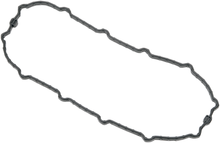 Drag Specialties Fuel Pump Door Seal - Dyna